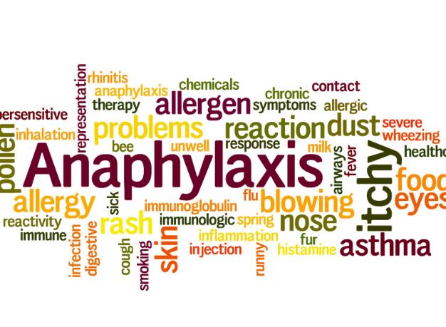 Você Sabe o Que é Anafilaxia? Entenda a Importância de Conhecer Esta Condição